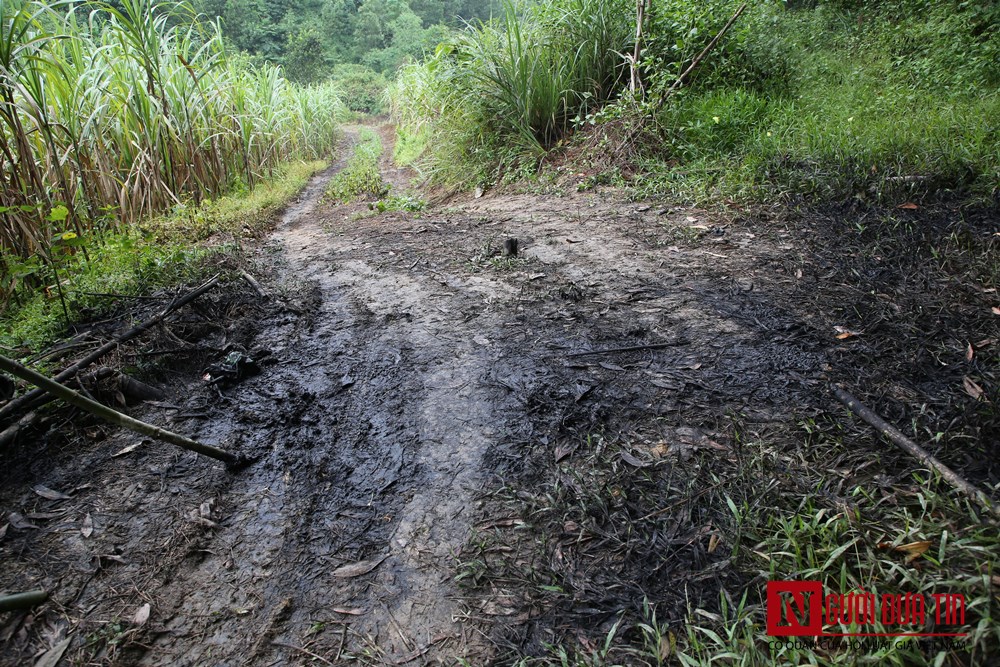 Môi trường - Cận cảnh dòng suối bị đổ trộm dầu thải khiến nước sinh hoạt ở Hà Nội bốc mùi (Hình 9).