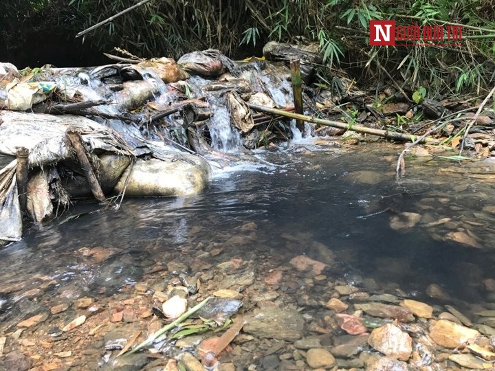 Môi trường - Xác định 'thủ phạm' khiến nước sinh hoạt ở Hà Nội bốc mùi